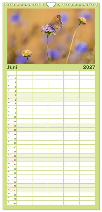 Schmetterlinge. Schimmernde Zauberwesen (CALVENDO Familienplaner 2027)