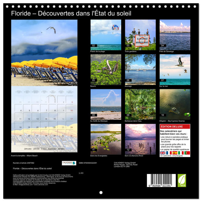 Floride – Découvertes dans l'État du soleil (CALVENDO Calendrier mensuel 2027)