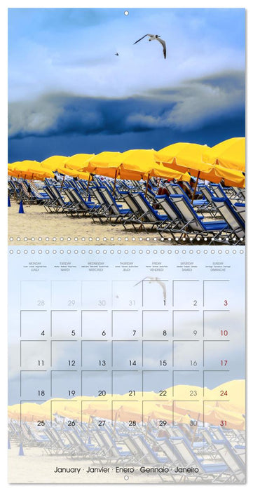 Floride – Découvertes dans l'État du soleil (CALVENDO Calendrier mensuel 2027)