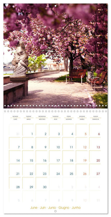 Romantic Dresden (CALVENDO Monthly Calendar 2027)