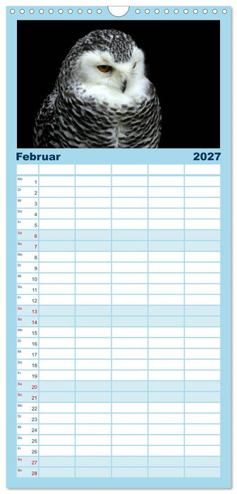Greifvögel, Eulen und Käuze (CALVENDO Familienplaner 2027)
