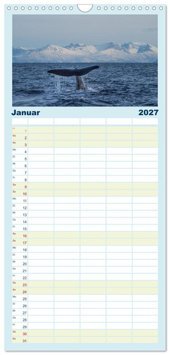 Die Wale von Andenes (CALVENDO Familienplaner 2027)