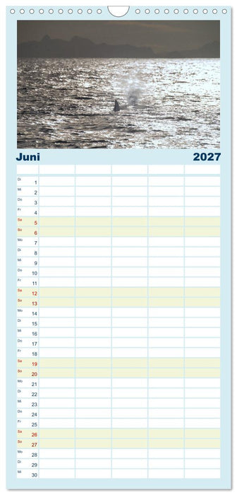 Die Wale von Andenes (CALVENDO Familienplaner 2027)