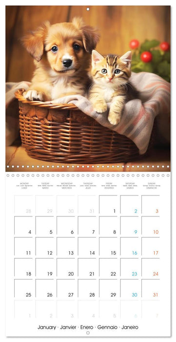 Mignon duo (CALVENDO Calendrier mensuel 2027)