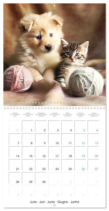 Mignon duo (CALVENDO Calendrier mensuel 2027)