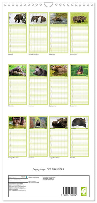 Begegnungen DER BRAUNBÄR (CALVENDO Familienplaner 2027)