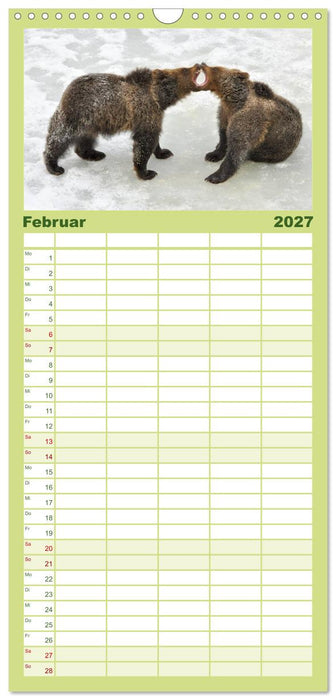 Begegnungen DER BRAUNBÄR (CALVENDO Familienplaner 2027)