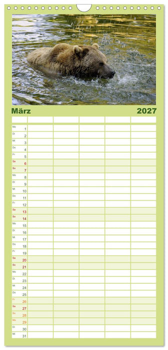 Begegnungen DER BRAUNBÄR (CALVENDO Familienplaner 2027)