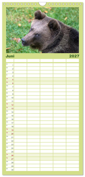 Begegnungen DER BRAUNBÄR (CALVENDO Familienplaner 2027)