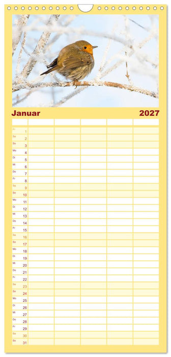 Geliebtes Rotkehlchen (CALVENDO Familienplaner 2027)