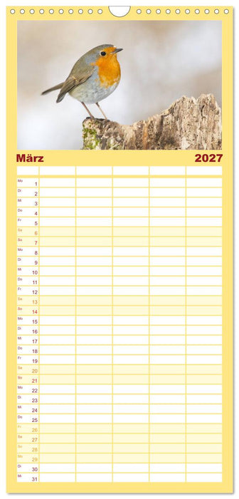Geliebtes Rotkehlchen (CALVENDO Familienplaner 2027)