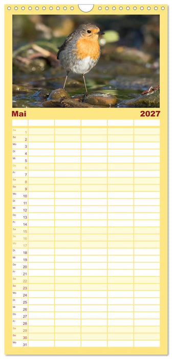 Geliebtes Rotkehlchen (CALVENDO Familienplaner 2027)