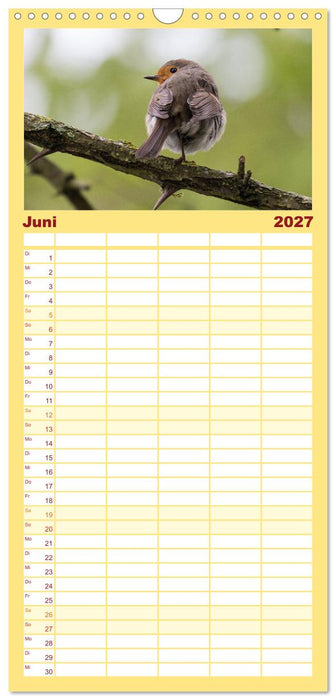 Geliebtes Rotkehlchen (CALVENDO Familienplaner 2027)