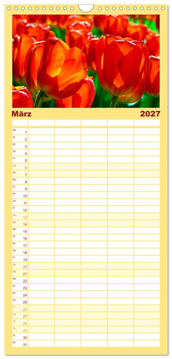Alles in Rot (CALVENDO Familienplaner 2027)