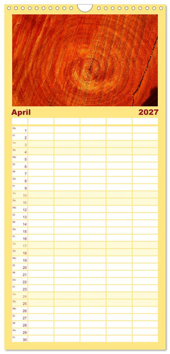 Alles in Rot (CALVENDO Familienplaner 2027)