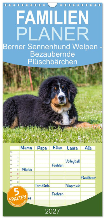 Berner Sennenhund Welpen - Bezaubernde Plüschbärchen (CALVENDO Familienplaner 2027)