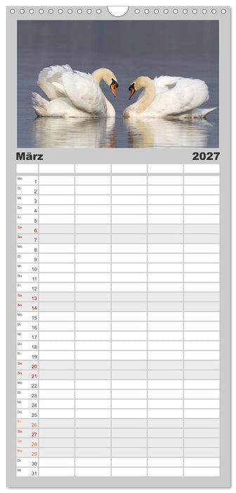 Der Höckerschwan elegant und stolz (CALVENDO Familienplaner 2027)