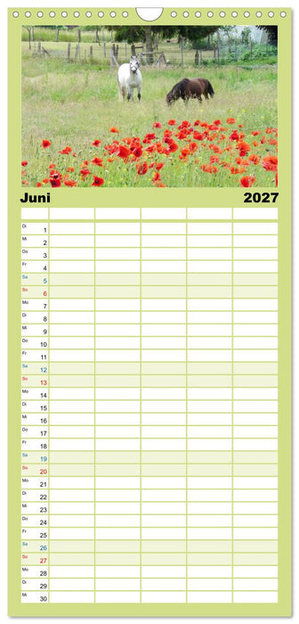Wunderschöne Mecklenburgische Seenplatte (CALVENDO Familienplaner 2027)