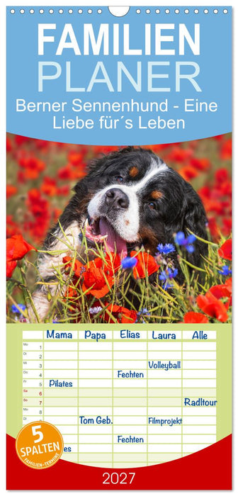 Berner Sennenhund - Eine Liebe für´s Leben (CALVENDO Familienplaner 2027)