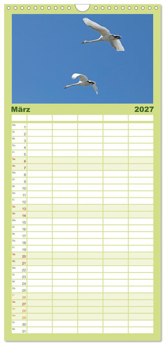 Die Schlei - Segelrevier und Naturpark (CALVENDO Familienplaner 2027)