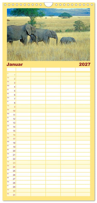 Elefanten in der Serengeti (CALVENDO Familienplaner 2027)