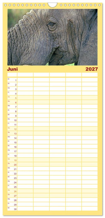 Elefanten in der Serengeti (CALVENDO Familienplaner 2027)