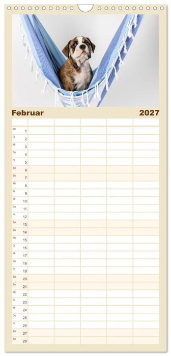 Welpen in der Hängematte (CALVENDO Familienplaner 2027)
