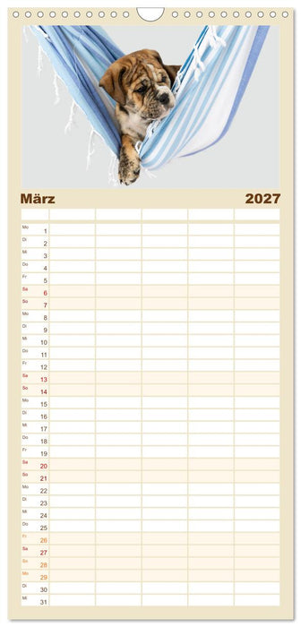 Welpen in der Hängematte (CALVENDO Familienplaner 2027)
