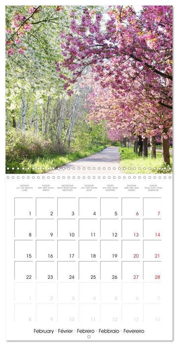 Time of Cherry Blossom (CALVENDO Monthly Calendar 2027)