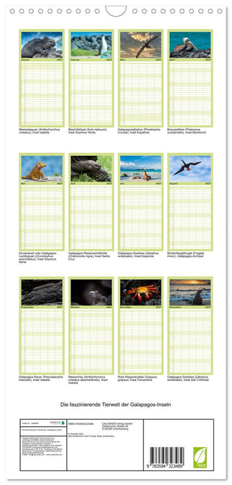 Die faszinierende Tierwelt der Galapagos-Inseln (CALVENDO Familienplaner 2027)
