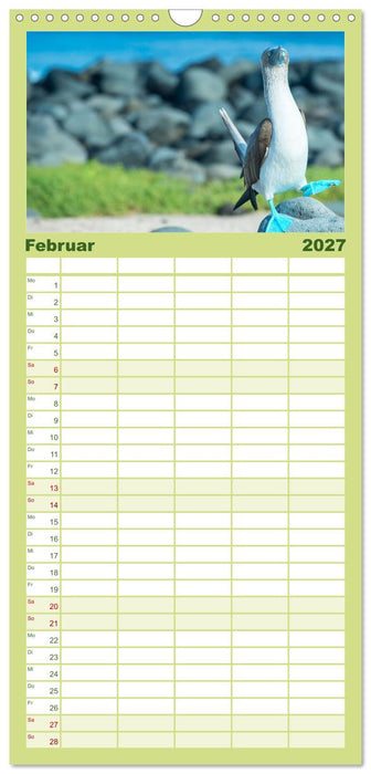 Die faszinierende Tierwelt der Galapagos-Inseln (CALVENDO Familienplaner 2027)