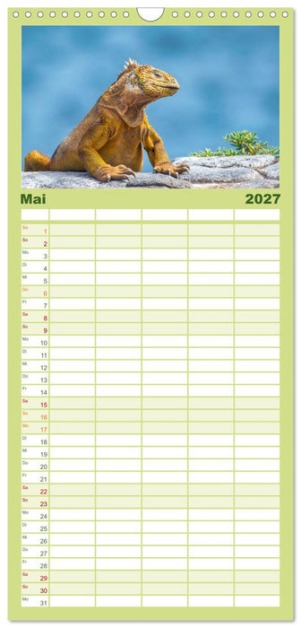 Die faszinierende Tierwelt der Galapagos-Inseln (CALVENDO Familienplaner 2027)