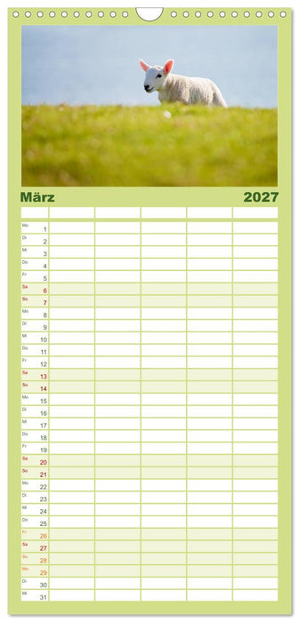 Unter Schafen - Wegbegleiter auf Reisen (CALVENDO Familienplaner 2027)