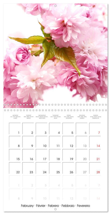 Arbres et arbustes la floraison (CALVENDO Calendrier mensuel 2027)