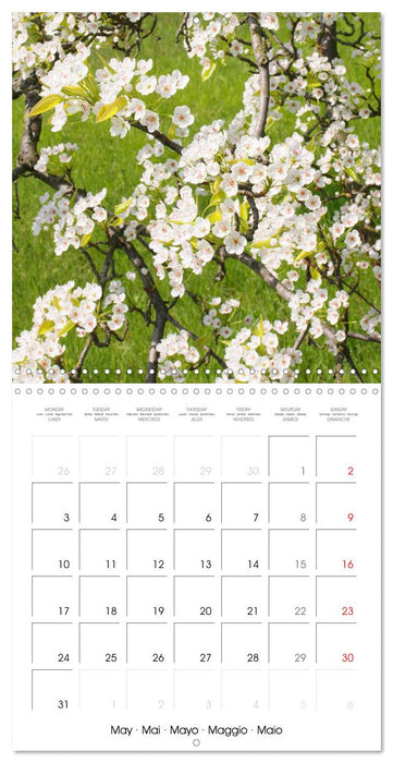 Arbres et arbustes la floraison (CALVENDO Calendrier mensuel 2027)