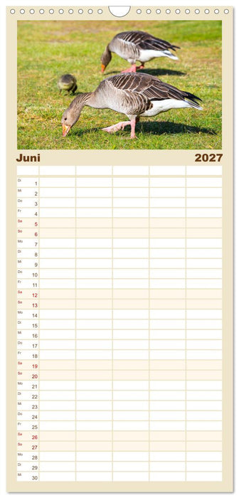 Geliebte Tiere auf dem Bauernhof (CALVENDO Familienplaner 2027)