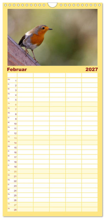 Rotkehlchen - Fotografiert von Ostfriesenfotografie (CALVENDO Familienplaner 2027)