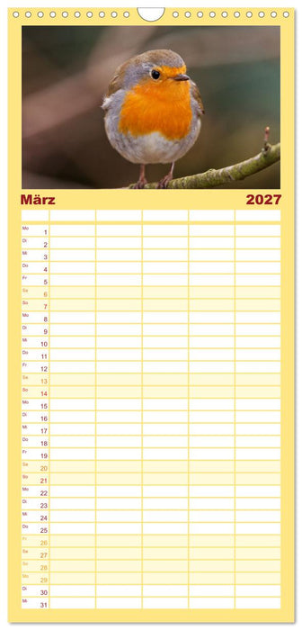 Rotkehlchen - Fotografiert von Ostfriesenfotografie (CALVENDO Familienplaner 2027)