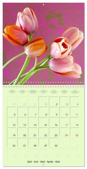 Tulipes élégantes (CALVENDO Calendrier mensuel 2027)
