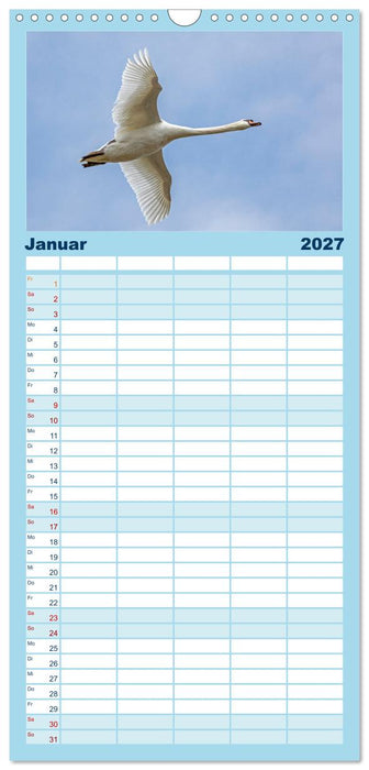 Vögel im Flug - Akrobaten der Lüfte (CALVENDO Familienplaner 2027)