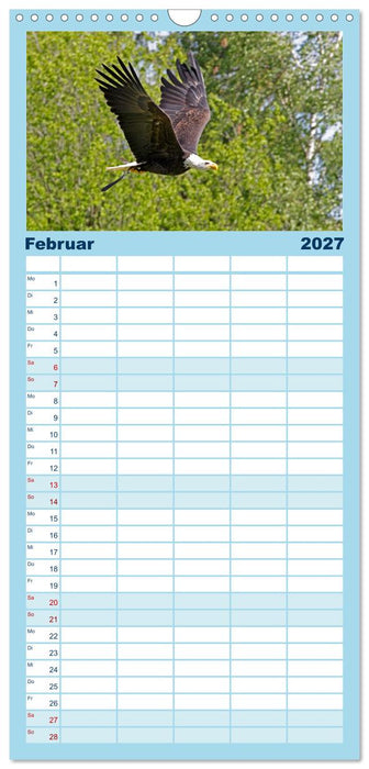 Vögel im Flug - Akrobaten der Lüfte (CALVENDO Familienplaner 2027)