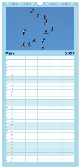 Vögel im Flug - Akrobaten der Lüfte (CALVENDO Familienplaner 2027)