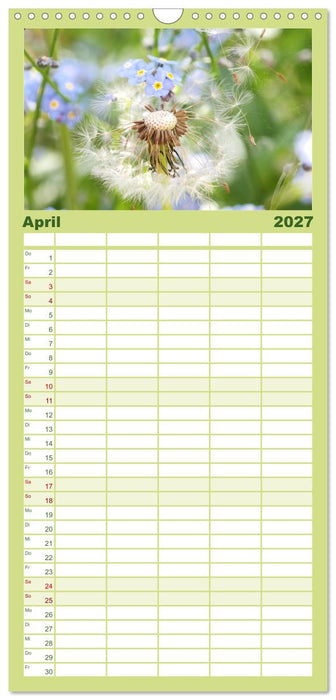 Sanfte Natur (CALVENDO Familienplaner 2027)