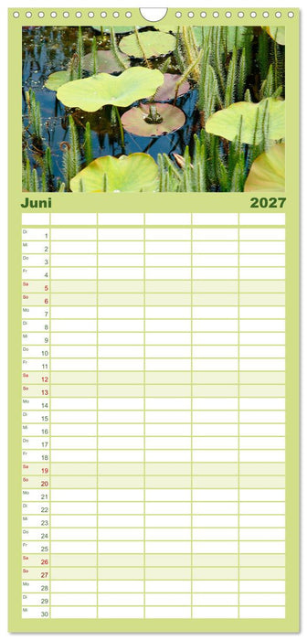 Sanfte Natur (CALVENDO Familienplaner 2027)