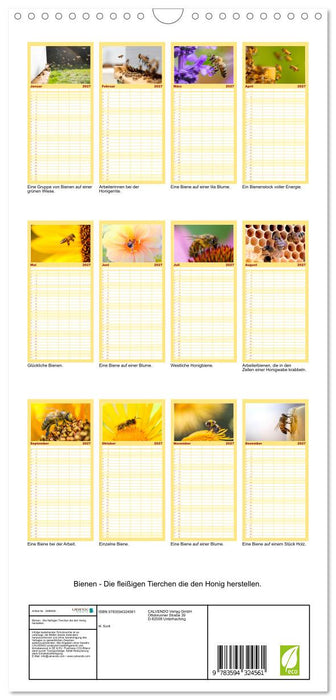 Bienen - Die fleißigen Tierchen die den Honig herstellen. (CALVENDO Familienplaner 2027)