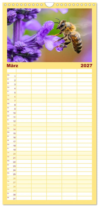 Bienen - Die fleißigen Tierchen die den Honig herstellen. (CALVENDO Familienplaner 2027)