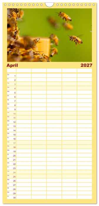 Bienen - Die fleißigen Tierchen die den Honig herstellen. (CALVENDO Familienplaner 2027)