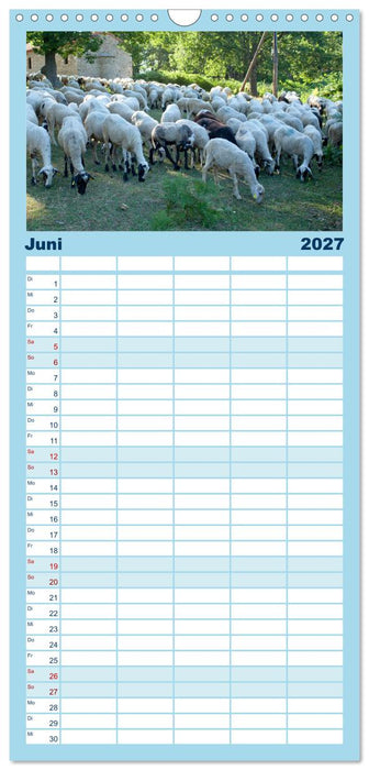 Chalkidiki - Urlaubsparadies in Nordgriechenland (CALVENDO Familienplaner 2027)