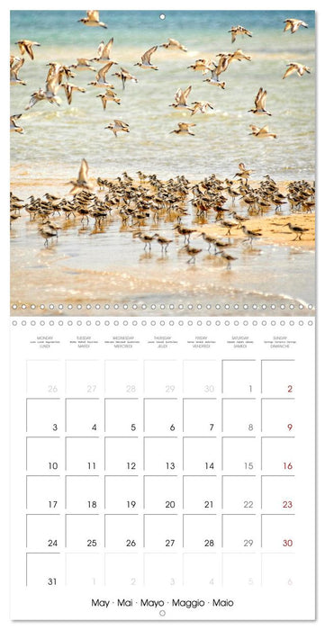 Destination Lamu (CALVENDO Monthly Calendar 2027)