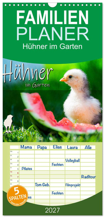 Hühner im Garten (CALVENDO Familienplaner 2027)